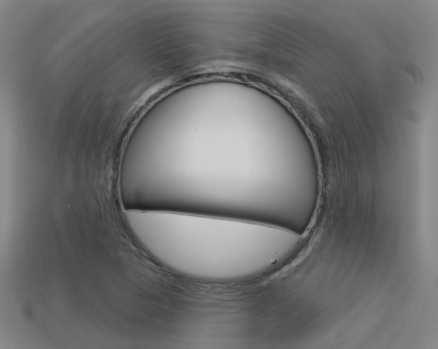 X0000113551313200909180951