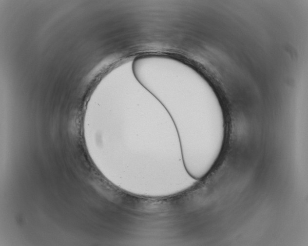 X0000113551314200909180951