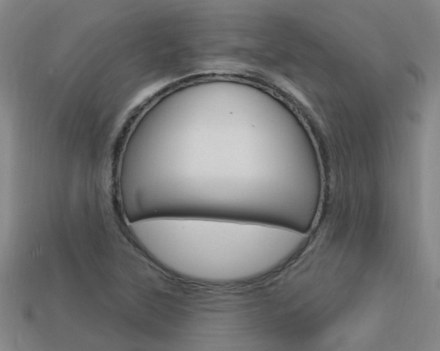 X0000113551315200909180951
