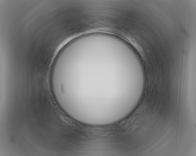 X0000113551316200909180951