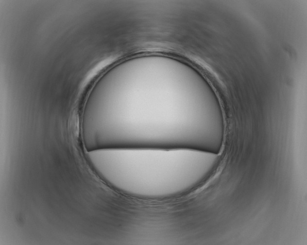X0000113551317200909180951