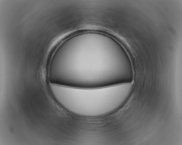 X0000113551319200909180951