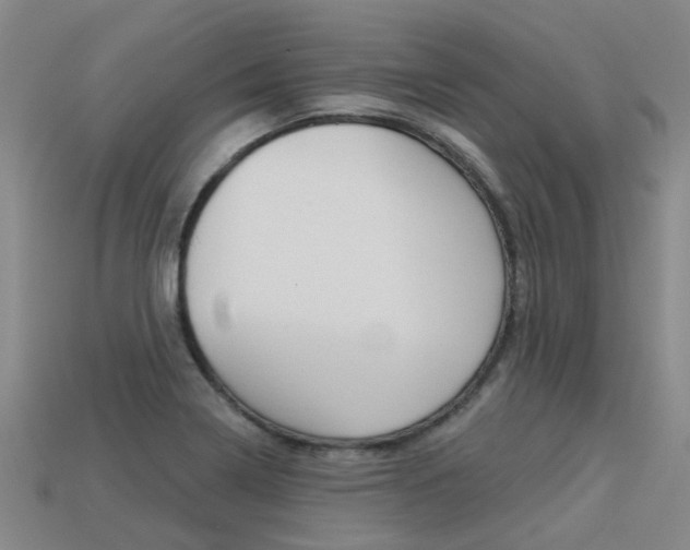 X0000113551322200909180951