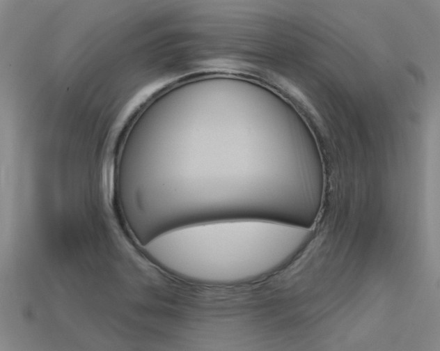X0000113551323200909180951