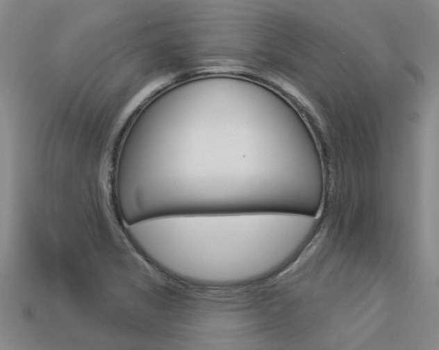 X0000113551325200909180951