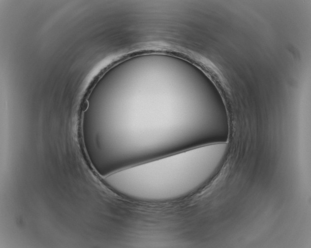 X0000113551326200909180951