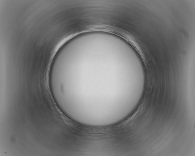 X0000113551328200909180951