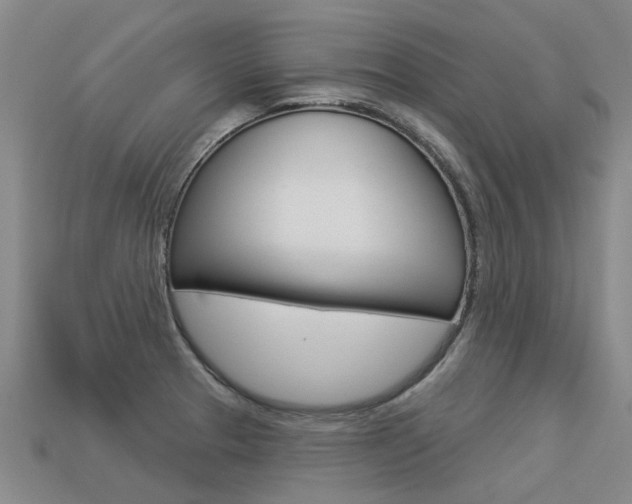 X0000113551329200909180951