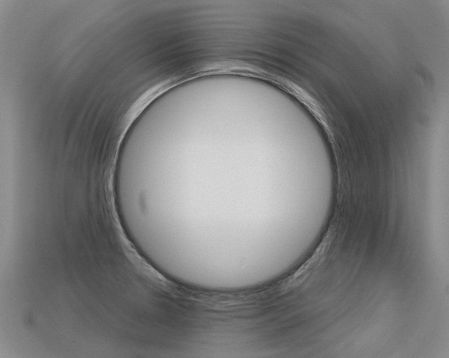 X0000113551330200909180951