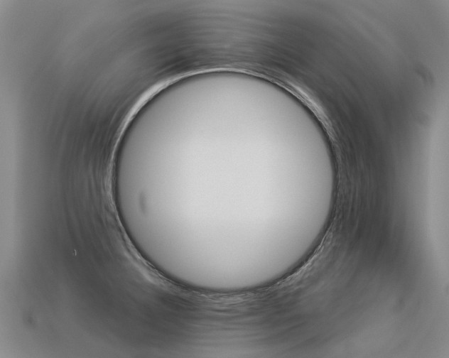 X0000113551332200909180951