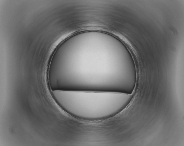 X0000113551333200909180951