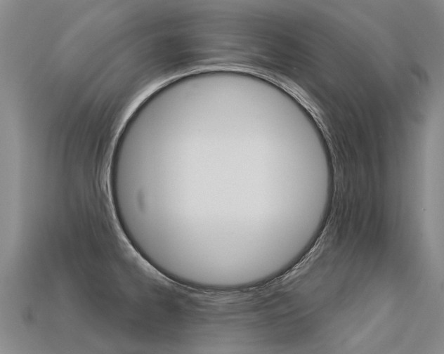 X0000113551334200909180951
