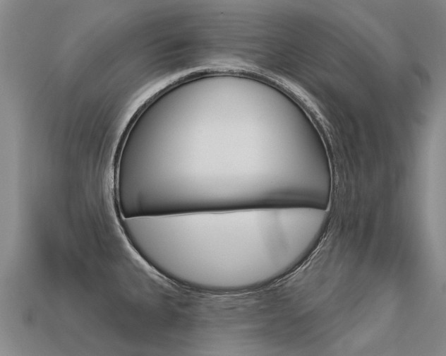 X0000113551335200909180951