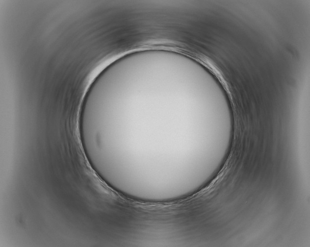 X0000113551336200909180951