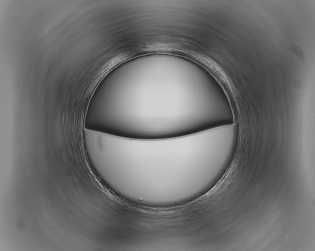 X0000113551337200909180951