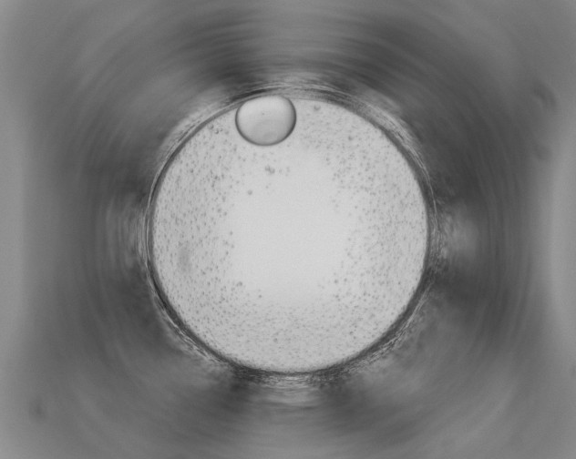 X0000113551338200909180951