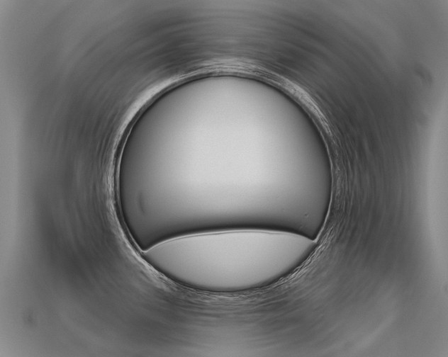 X0000113551339200909180951