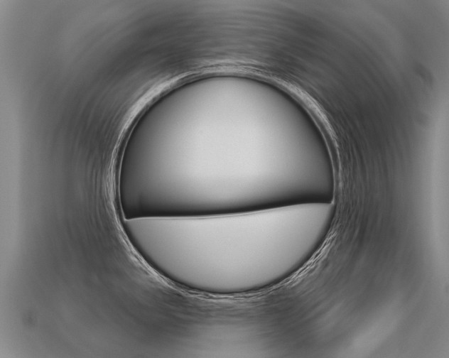 X0000113551341200909180951
