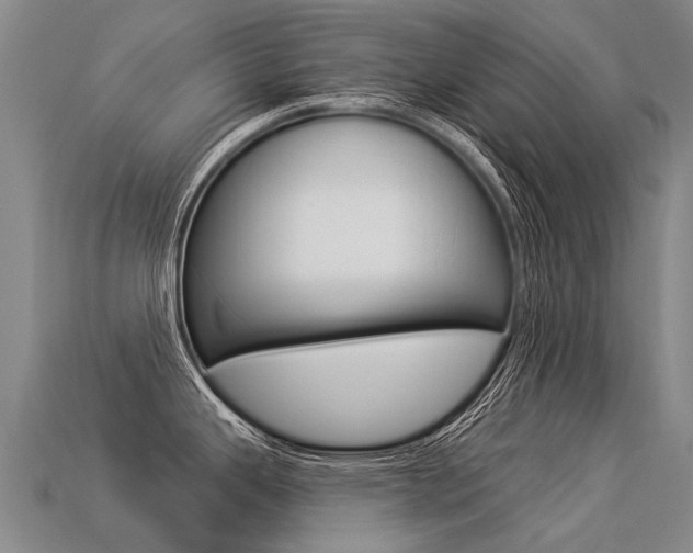X0000113551343200909180951