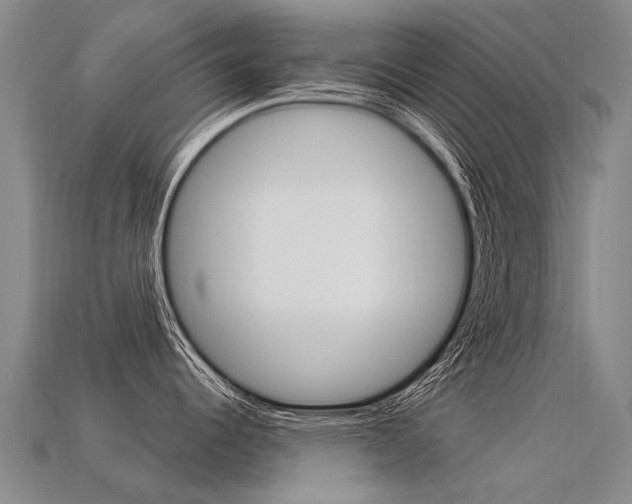 X0000113551344200909180951