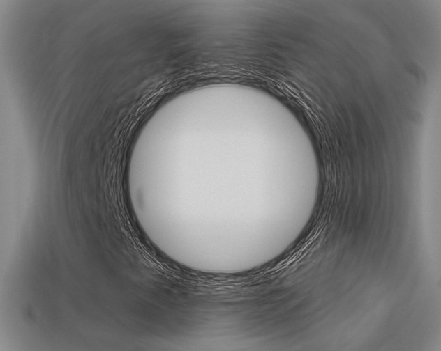 X0000113551345200909180951