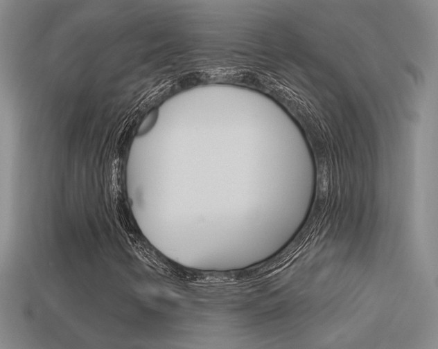 X0000113551346200909180951