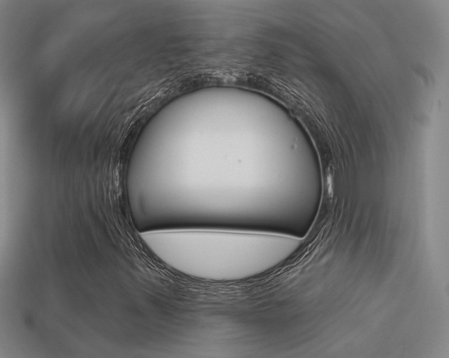 X0000113551347200909180951