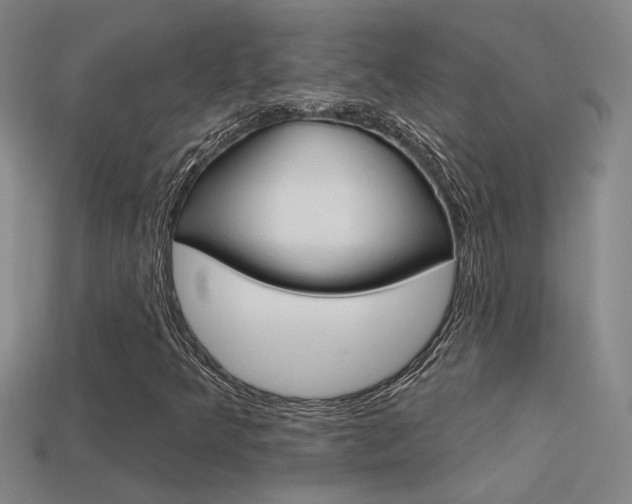 X0000113551349200909180951