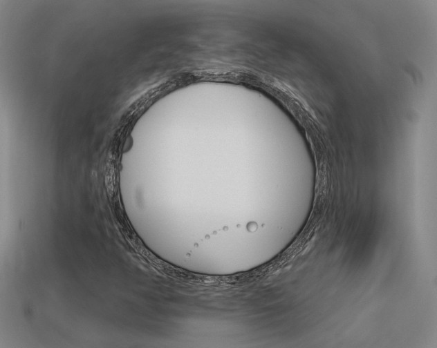 X0000113551350200909180951
