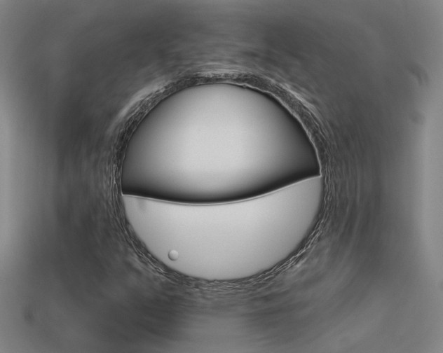 X0000113551351200909180951