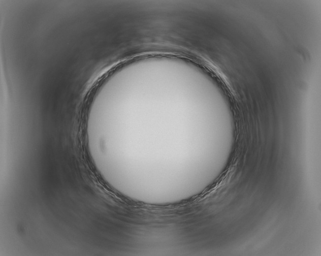 X0000113551352200909180951