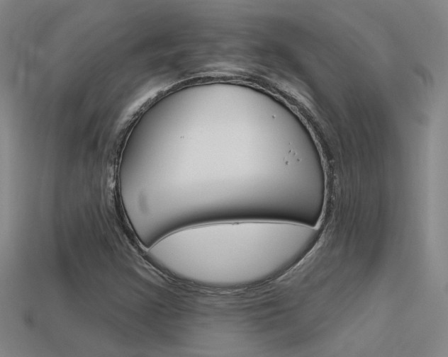 X0000113551355200909180951