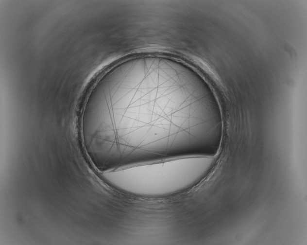 X0000113551356200909180950