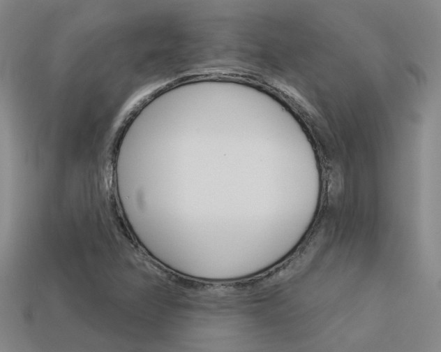 X0000113551358200909180950