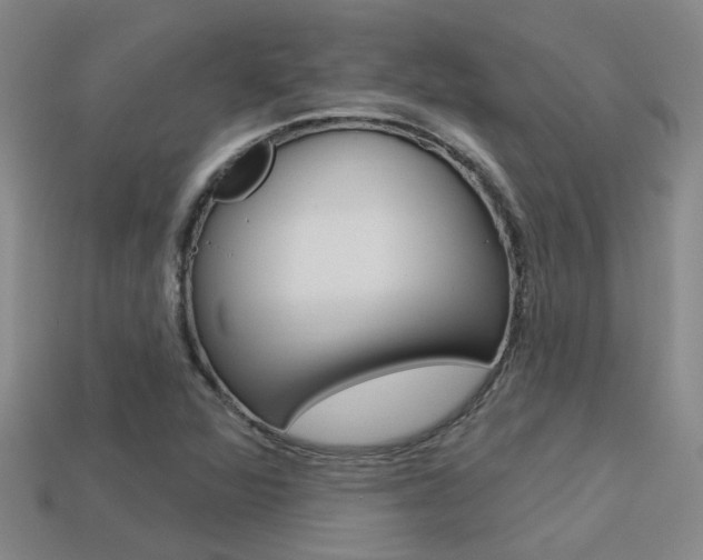 X0000113551360200909180950