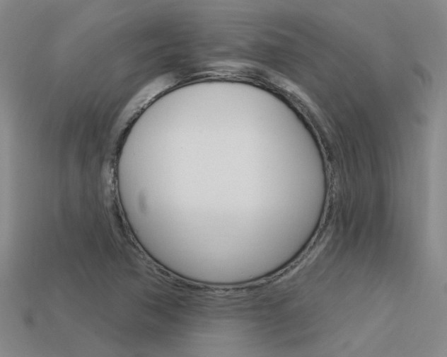 X0000113551362200909180950