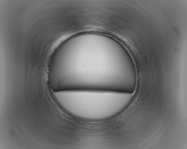 X0000113551363200909180950