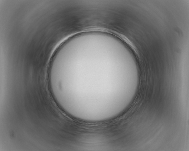 X0000113551364200909180950