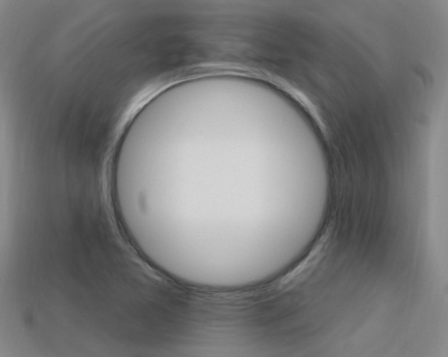X0000113551365200909180950
