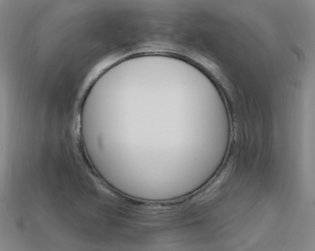 X0000113551366200909180950