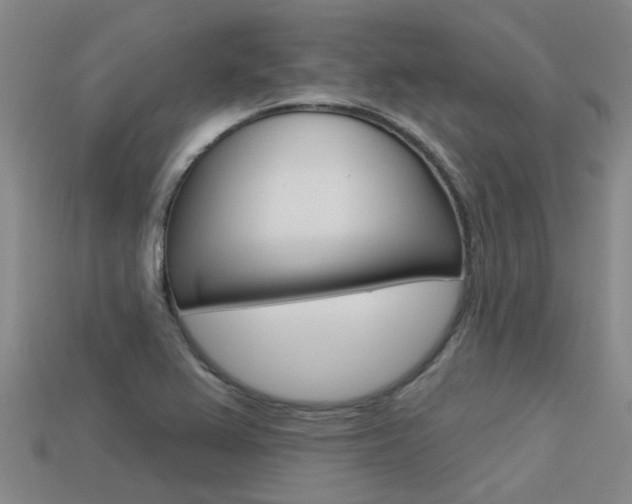 X0000113551367200909180950