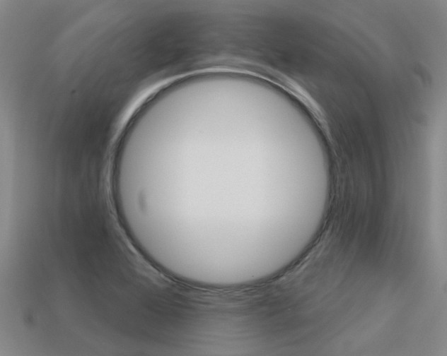 X0000113551368200909180950