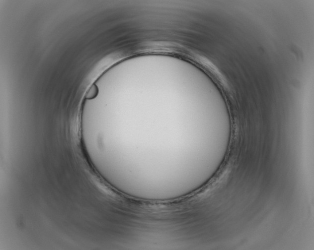 X0000113551370200909180950