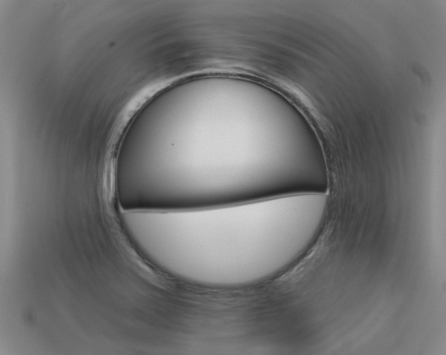 X0000113551371200909180950