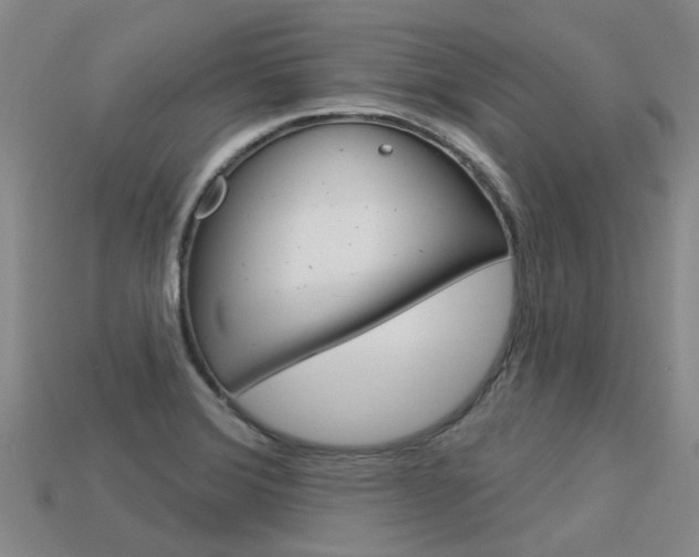 X0000113551372200909180950