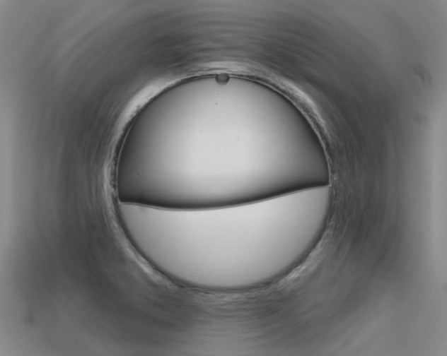 X0000113551373200909180950