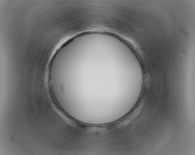 X0000113551374200909180950