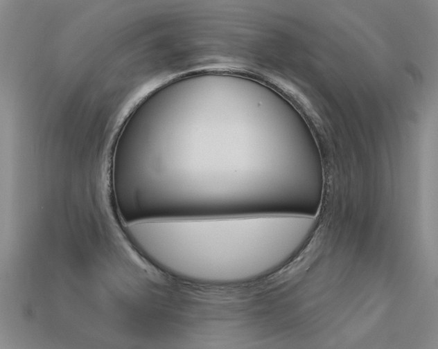 X0000113551375200909180950
