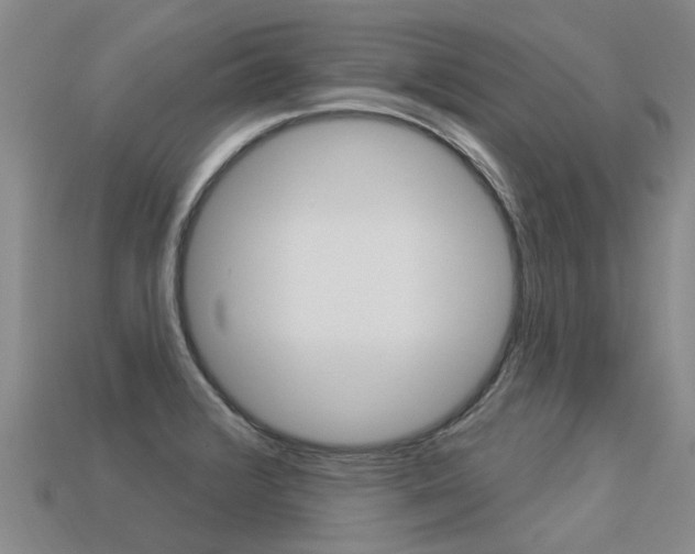 X0000113551376200909180950