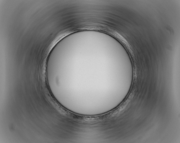 X0000113551378200909180950
